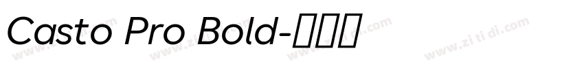 Casto Pro Bold字体转换